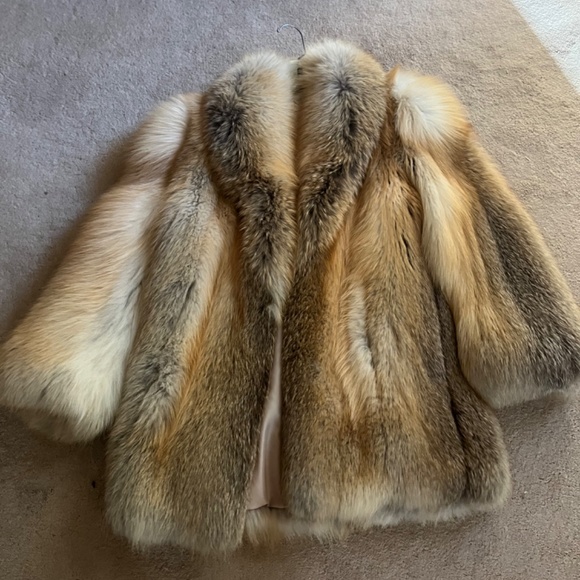 Beautiful Golden island fox coat - Picture 5 of 16